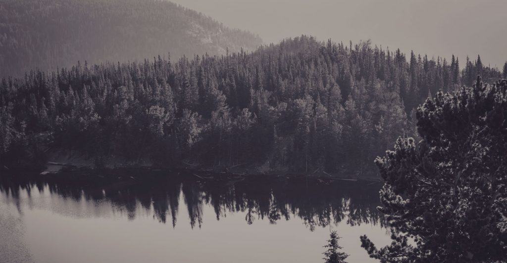 hero bg - ELECTRICAL & INDUSTRIAL SUPPLIER - SYSTEM INTEGRATOR - SERVICE & MAINTENANCE SUBCONTRACTOR